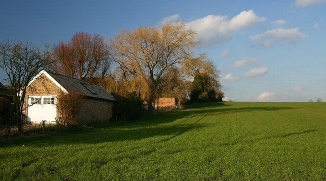Field at Haddenham Looking north from the A1123.