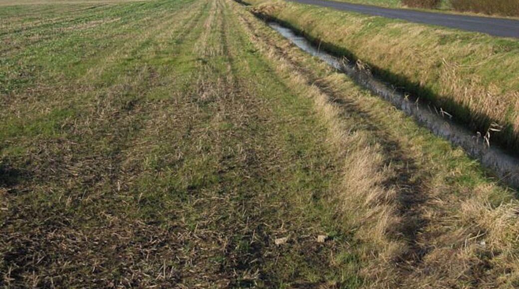 Stubble field, Grunty fen Flat arable field, ditch and a straight road, all typical of the Fens.