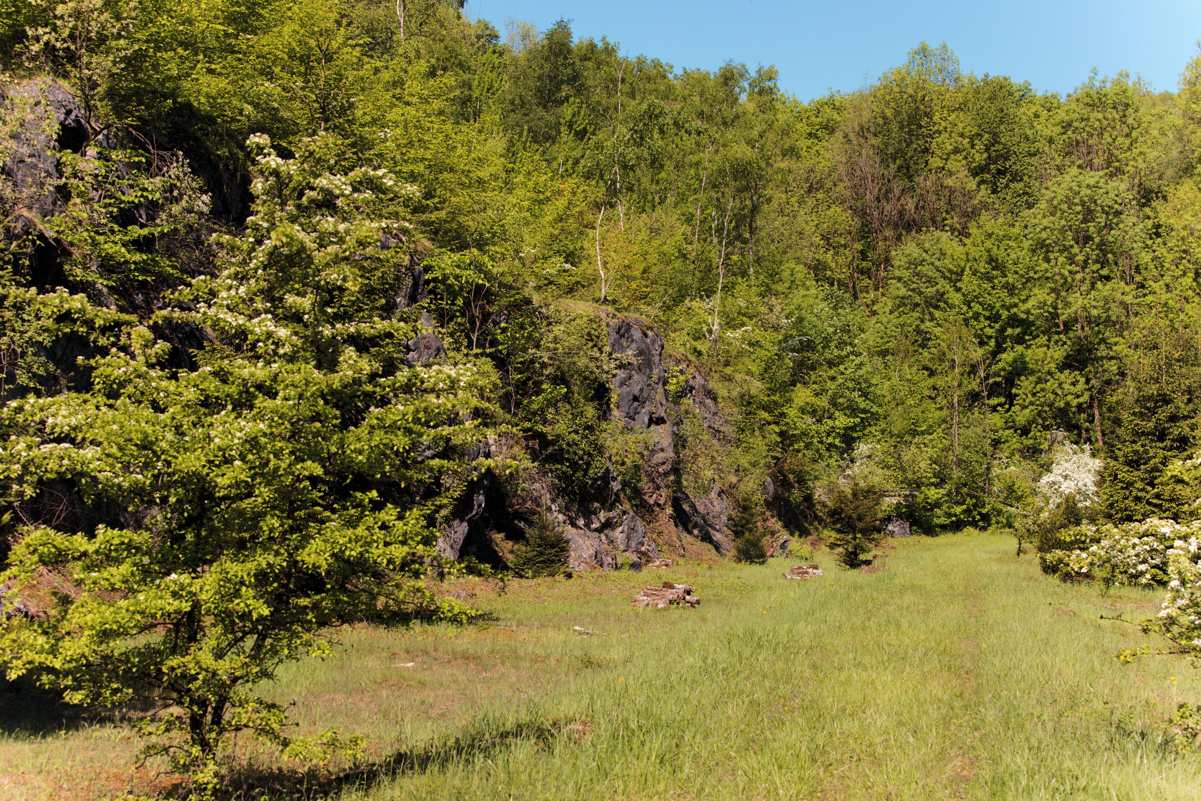 Das ehemalige Kalkstein-Abbaugebiet hinter der Fundstelle, renaturiert.