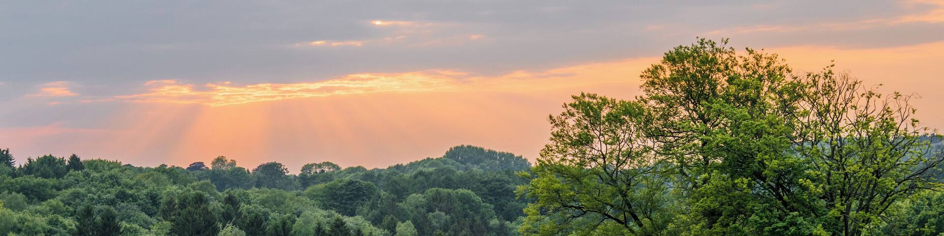 Blick kurz vor Sonnenuntergang übers Hofheider Bachtal (verdeckt) im Stadtgebiet von Erkrath (Gemarkung Hochdahl); Blick aufs Tarpangehege (Grünland) im Wildpark Neandertal innerhalb des Naturschutzgebiets „Neandertal“, zu dem auch der Wald im Hintergrund gehört