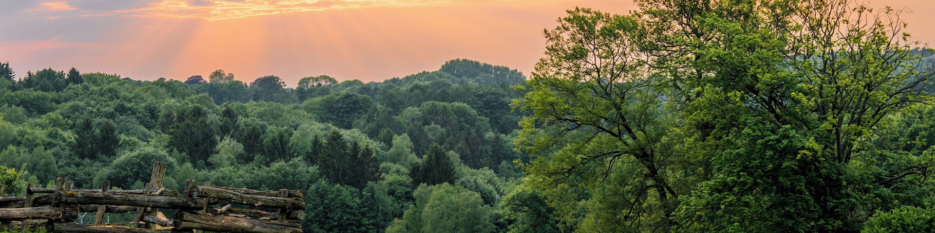 Blick kurz vor Sonnenuntergang übers Hofheider Bachtal (verdeckt) im Stadtgebiet von Erkrath (Gemarkung Hochdahl); Blick aufs Tarpangehege (Grünland) im Wildpark Neandertal innerhalb des Naturschutzgebiets „Neandertal“, zu dem auch der Wald im Hintergrund gehört