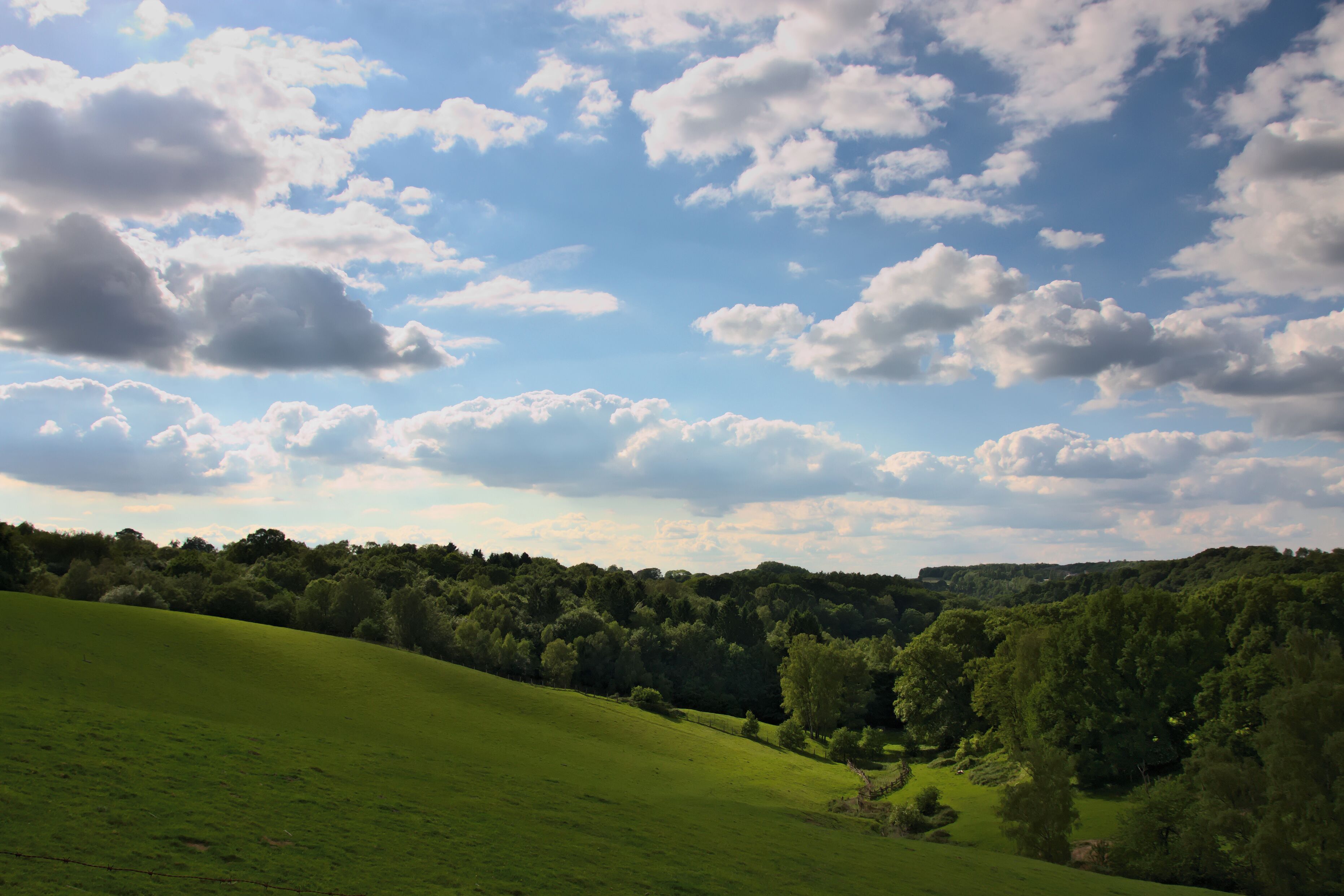 A green hillside with a clear sky and scattered clouds.