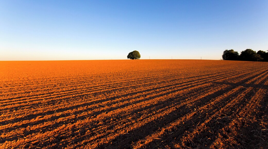 Dörper Weg oberhalb Stinderbachtal