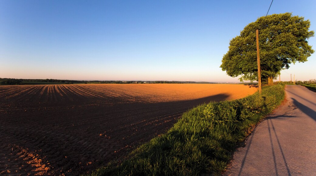 Dörper Weg oberhalb Stinderbachtal