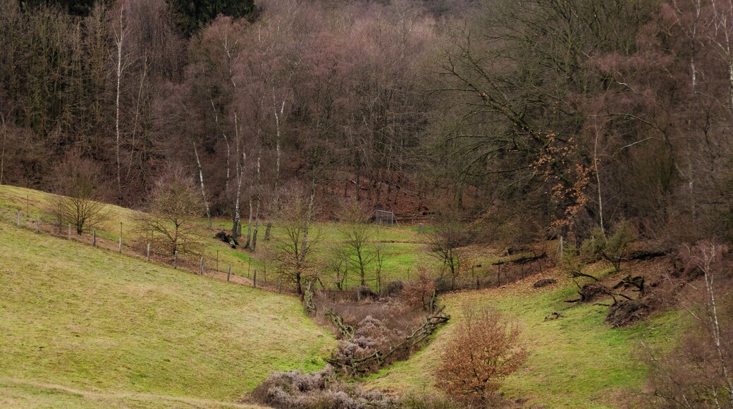 The Neanderthal from a view point at the ice age game reserve.