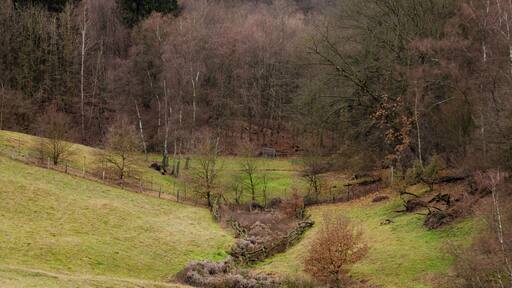 The Neanderthal from a view point at the ice age game reserve.