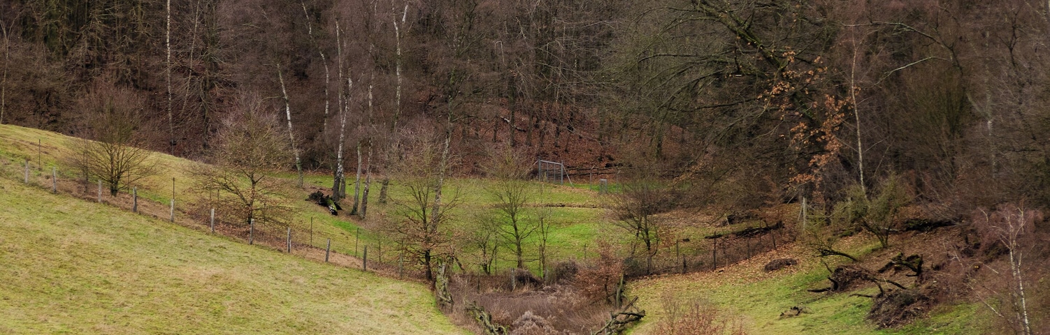 The Neanderthal from a view point at the ice age game reserve.