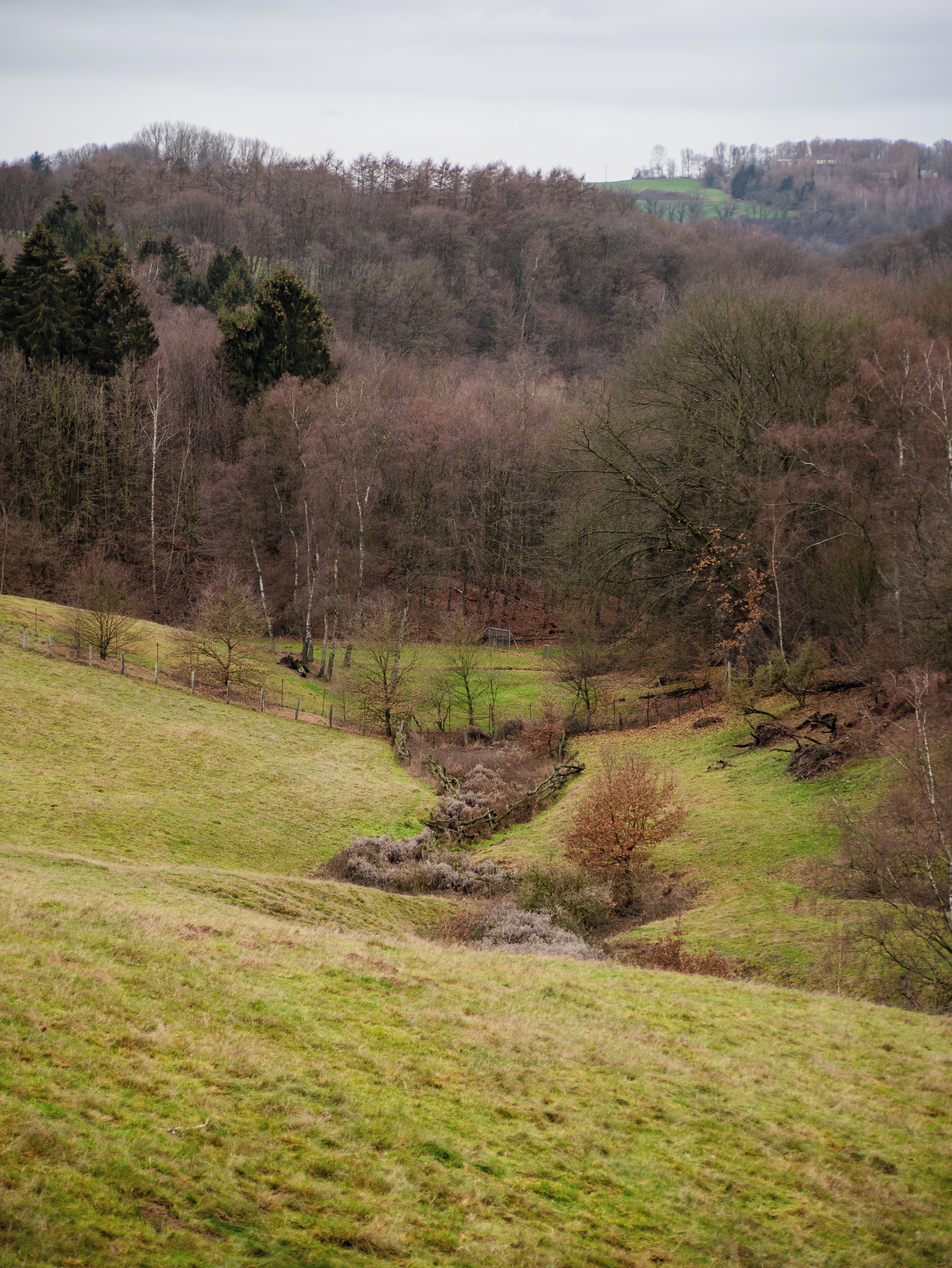 A rural landscape with a grassy field, a small stream, and a forested hill in the background.