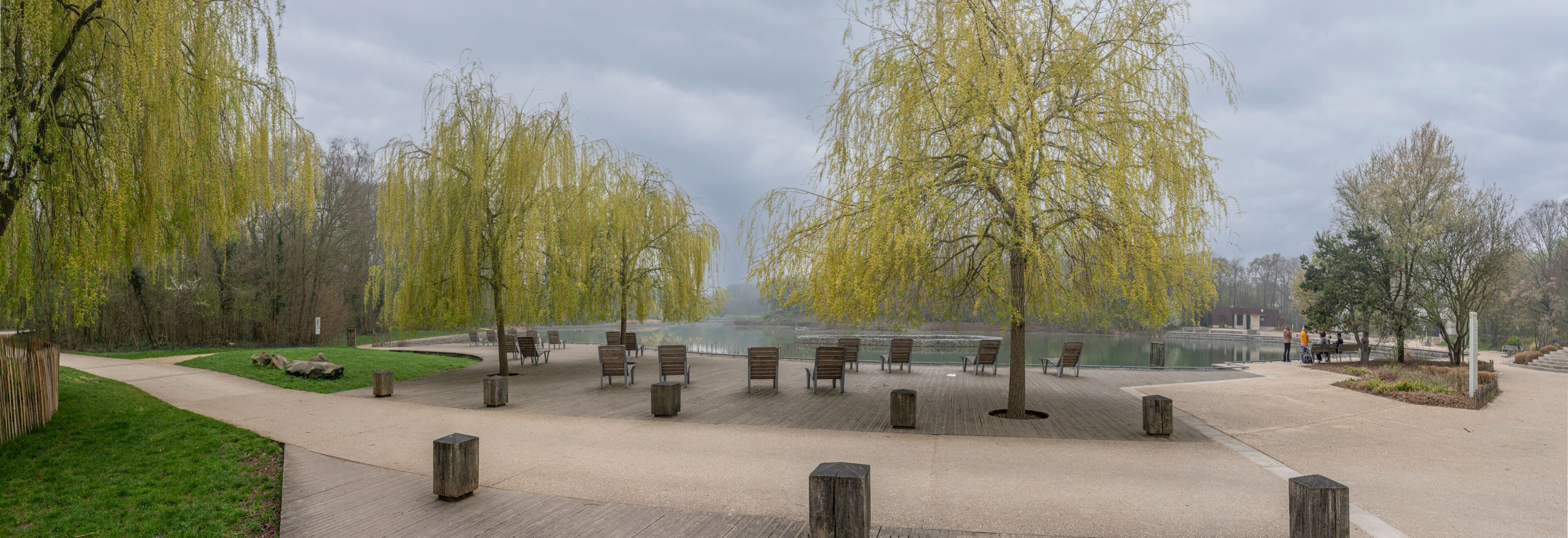 A park with willow trees, a lake, and wooden benches.