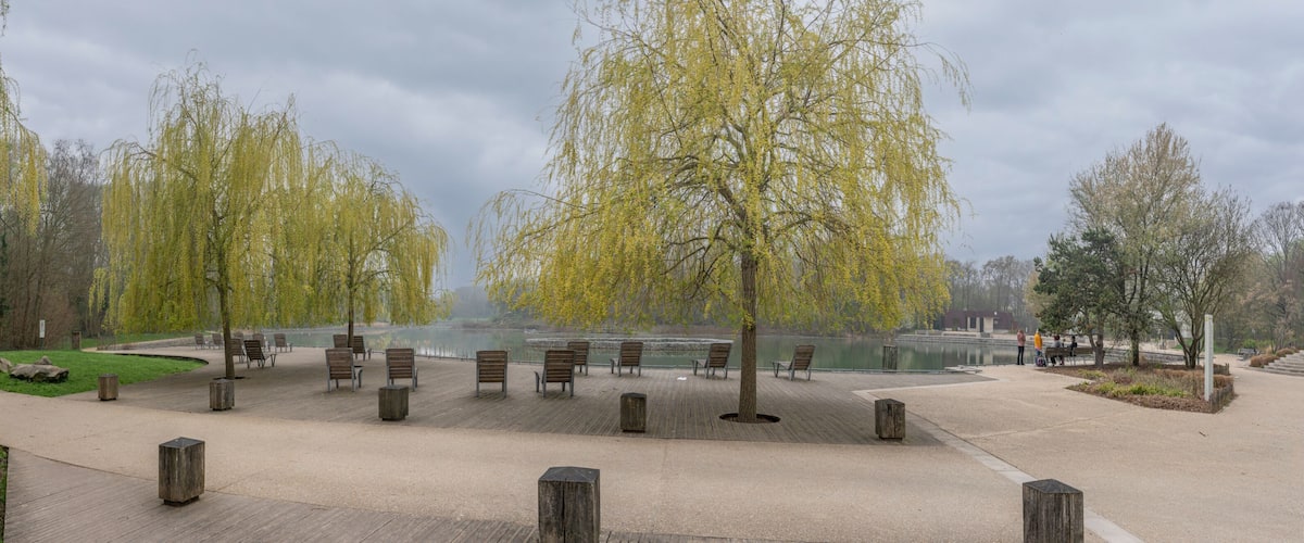 A park with willow trees, a lake, and wooden benches.