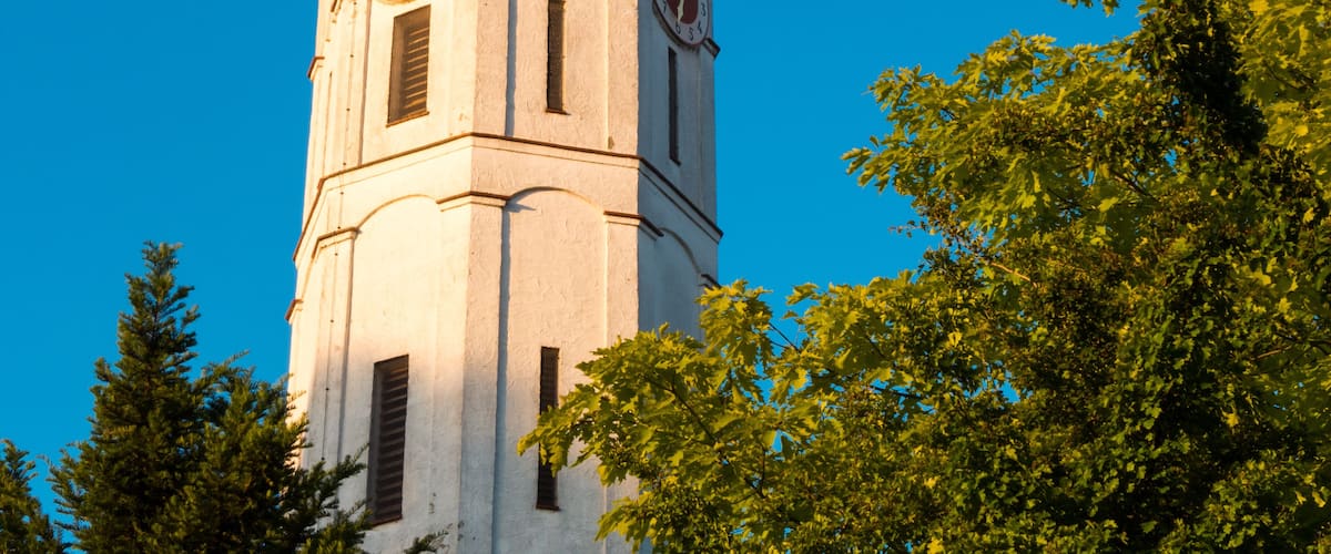 A clock tower with two clocks, surrounded by trees.