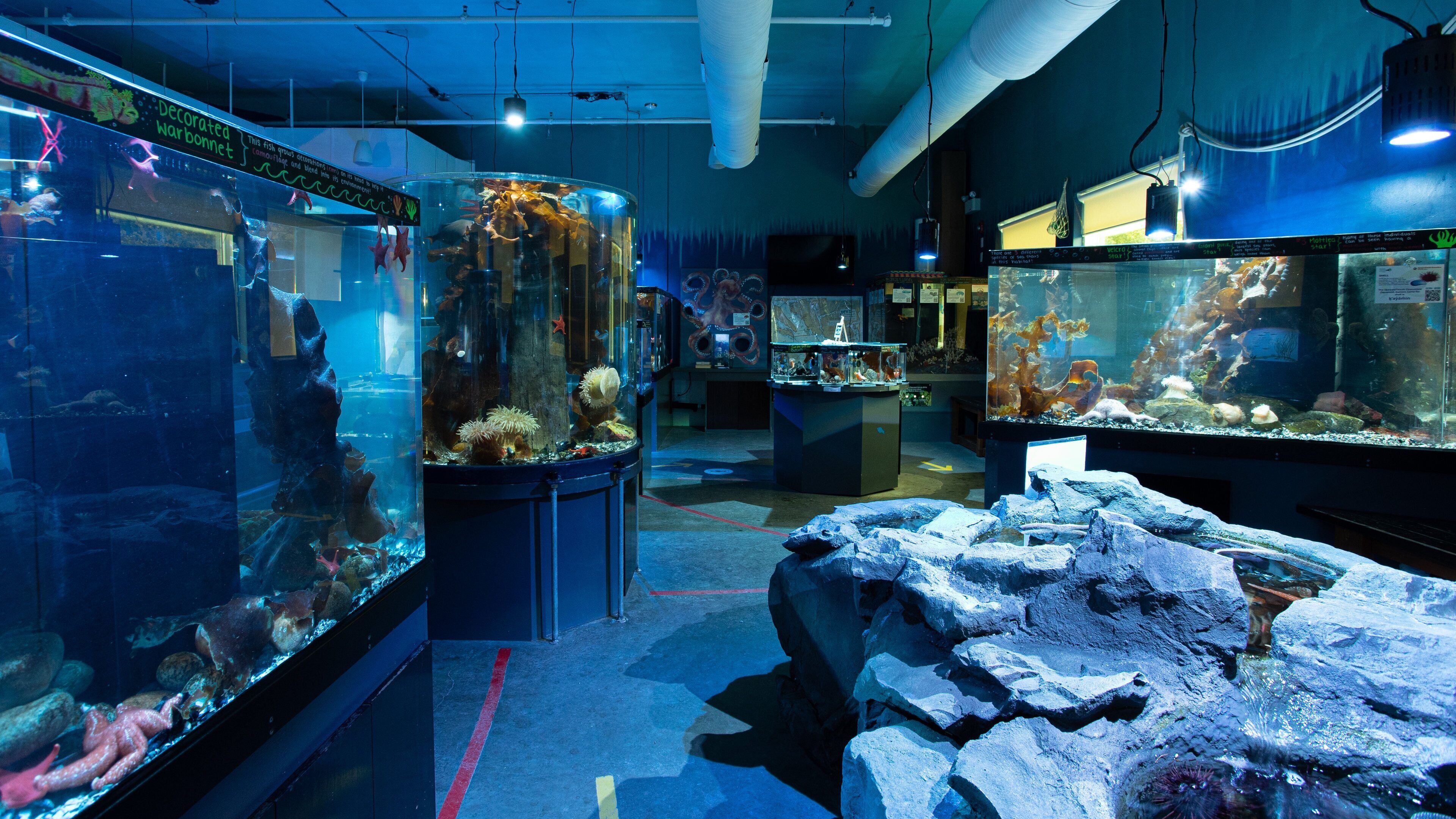 Gibsons which includes interior views and marine life