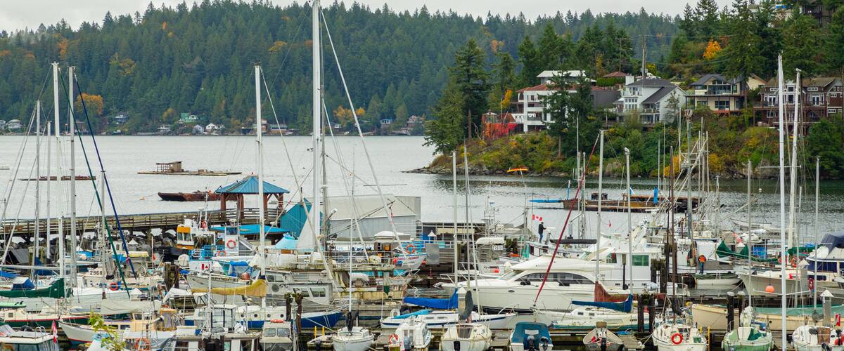 A marina with various boats docked, surrounded by houses and a forested hillside.
