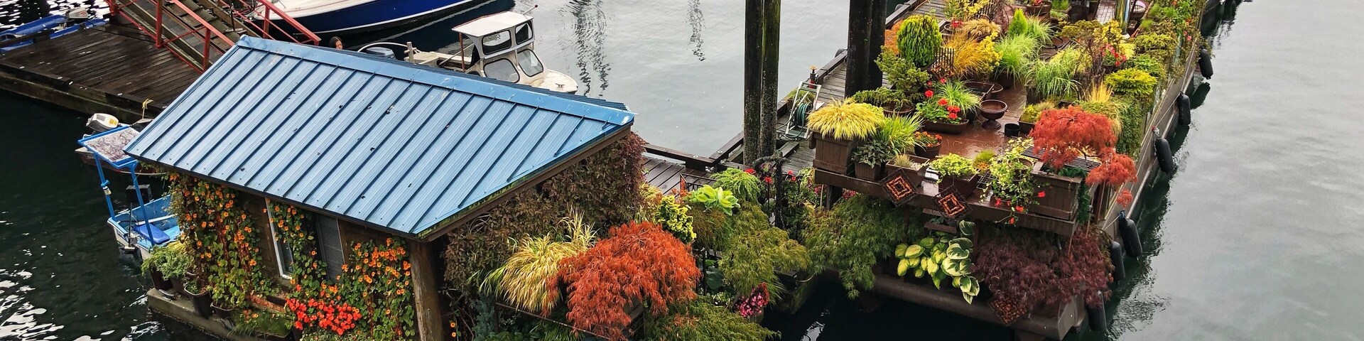 Houseboat living in Gibsons, BC. Although Gibsons is on the British Columbia mainland, the Sunshine Coast is not accessible by road. Vehicle access is by BC Ferries from Horseshoe Bay in West Vancouver, a 40-minute crossing or a ferry from Vancouver Island. The town is also accessible by water, by float plane to the harbour, and by small aircraft to Sechelt Airport, approx. 20 km northwest of Gibsons. (September 2019)
#LocalSecrets #Trovember