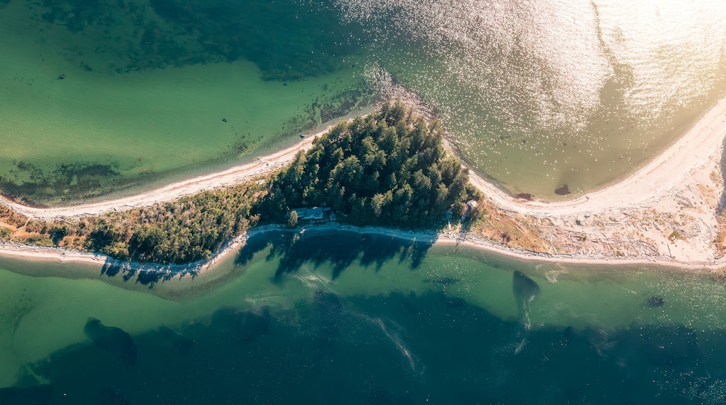 Sandy Beach and cabines on Thormanby Island near Sunshine Coast, British Columbia, Canada.