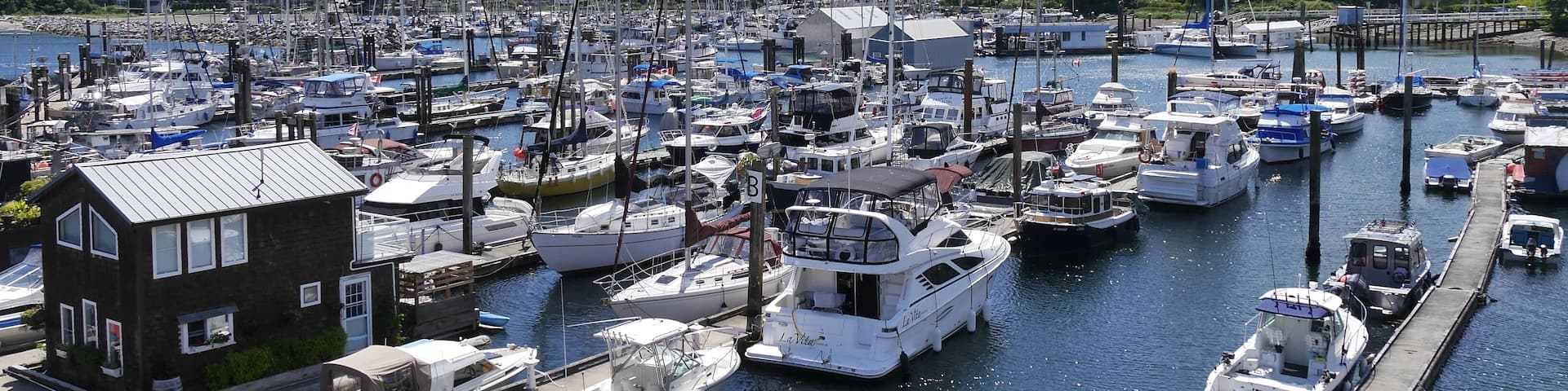 A marina with numerous boats docked, a small house-like structure, and a forested hillside in the background.