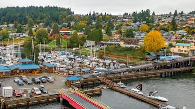 Un puerto deportivo con barcos amarrados, un puente rojo y casas al fondo.