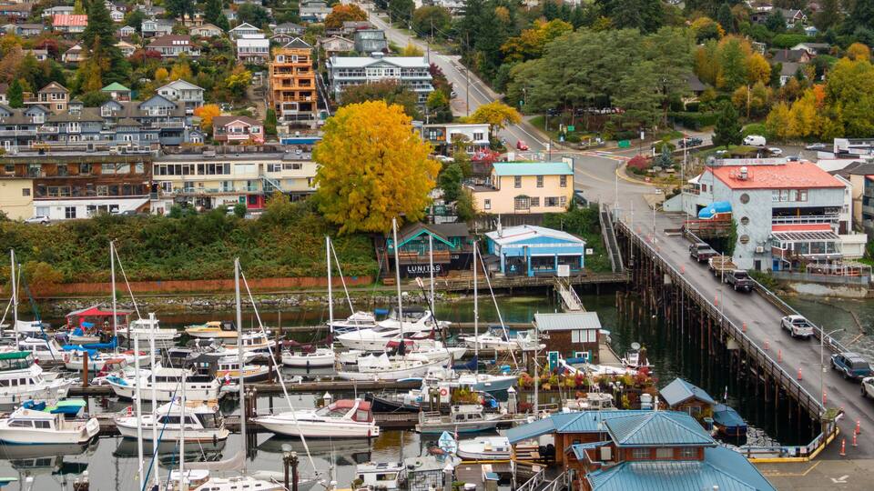A marina with numerous boats docked, surrounded by residential buildings and a waterfront road.