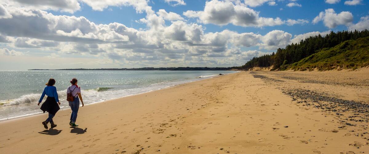 A sandy beach with footprints, a clear sky, and a forested hillside.