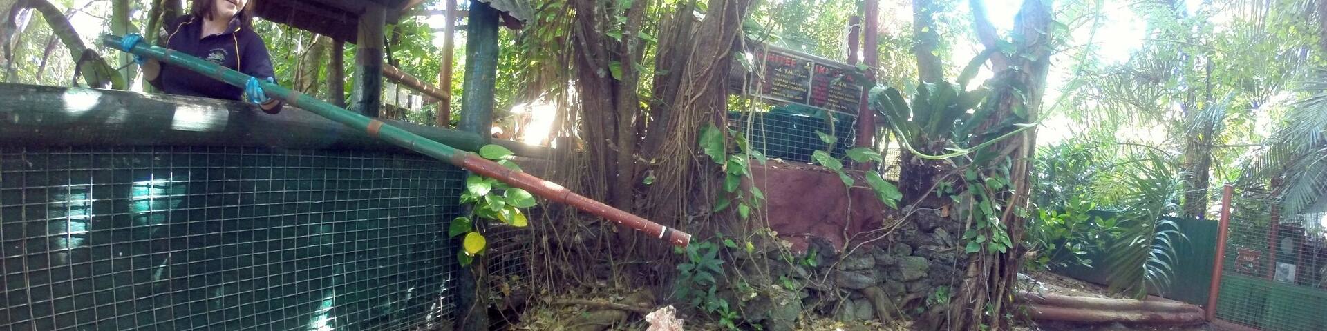 # troveon Green island isn't just about water activities - there's also a croc park on the island! See a show without the crowds here at this awesome family owned and operated park.
www.cheskiesgaplife.com/exploring-green-island-minus-the-crowds-with-cairns-adventure-cruises
