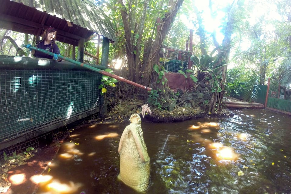 Une personne pêche dans un étang à l’aide d’un filet, entourée d’arbres et d’une structure couverte.