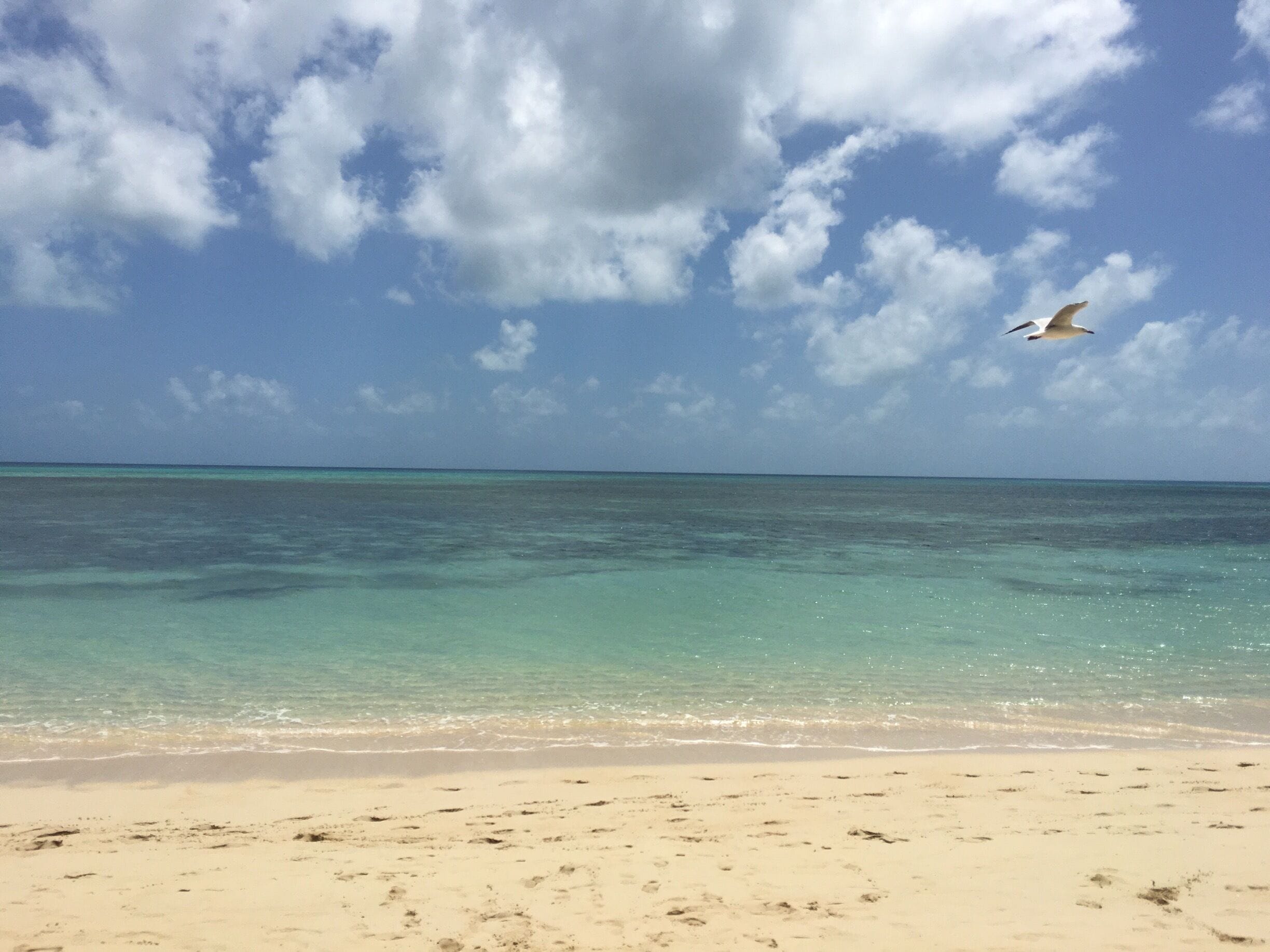 I fell in love with Australia this day! I did not think I would see so many different shades of blue in 1 day😍
 #LifeAtExpedia
