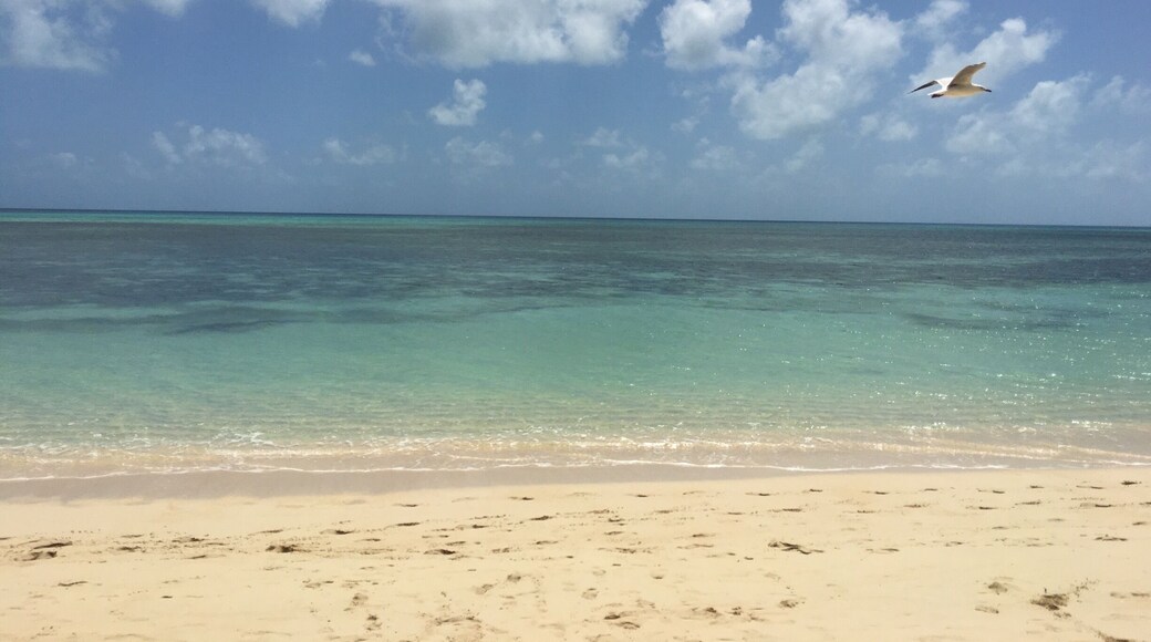 I fell in love with Australia this day! I did not think I would see so many different shades of blue in 1 day😍
#LifeAtExpedia