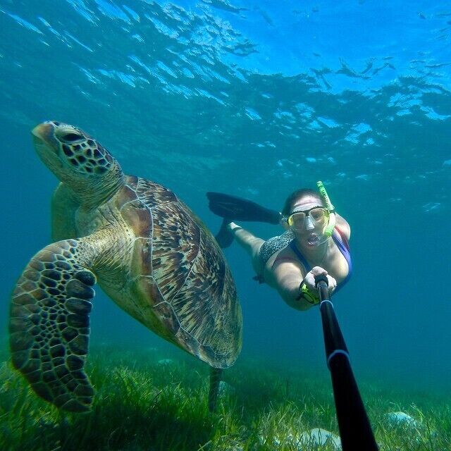 Want to spot a turtle? A trip to Green Island will pretty much guarantee you a sighting! Just don't expect the best coral for snorkelling, but that's a trade off if you can bag a selfie like this... #waterlust

www.cheskiesgaplife.com

#colorful
