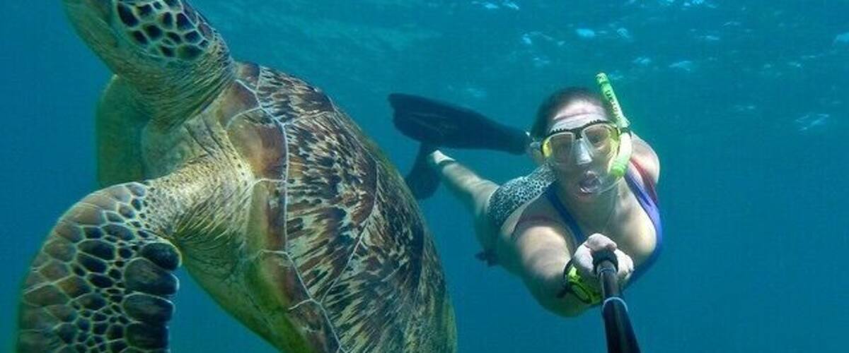 Want to spot a turtle? A trip to Green Island will pretty much guarantee you a sighting! Just don't expect the best coral for snorkelling, but that's a trade off if you can bag a selfie like this... #waterlust
www.cheskiesgaplife.com
#colorful