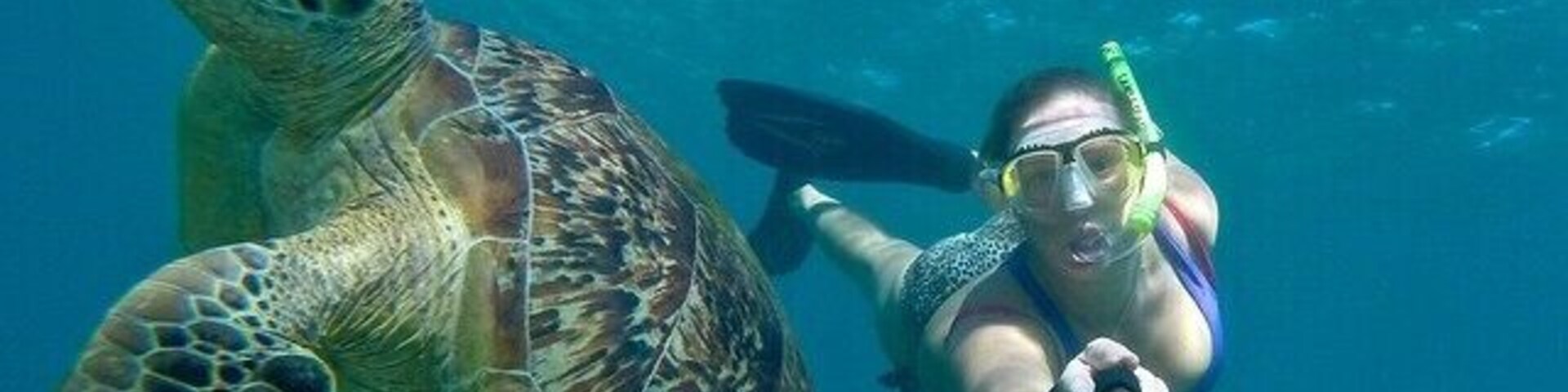 Want to spot a turtle? A trip to Green Island will pretty much guarantee you a sighting! Just don't expect the best coral for snorkelling, but that's a trade off if you can bag a selfie like this... #waterlust
www.cheskiesgaplife.com
#colorful