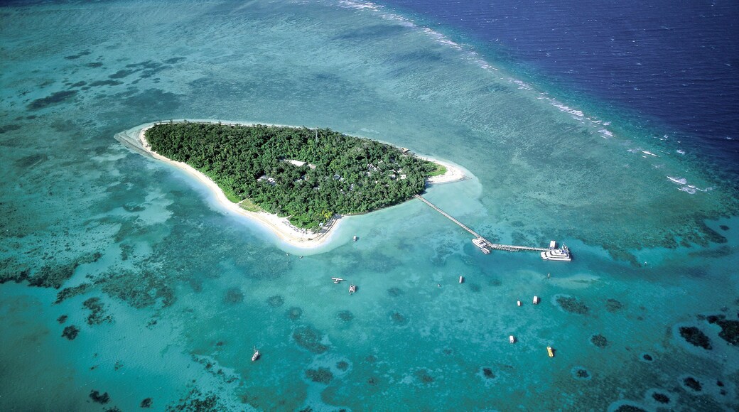 Green Island off the north Queensland coast on the Great Barrier reef near the town of Cairns.