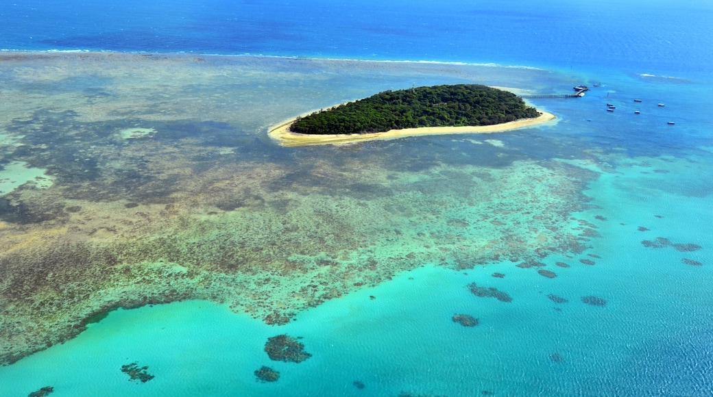 Aerial view of Green Island reef at the Great Barrier Reef Queen