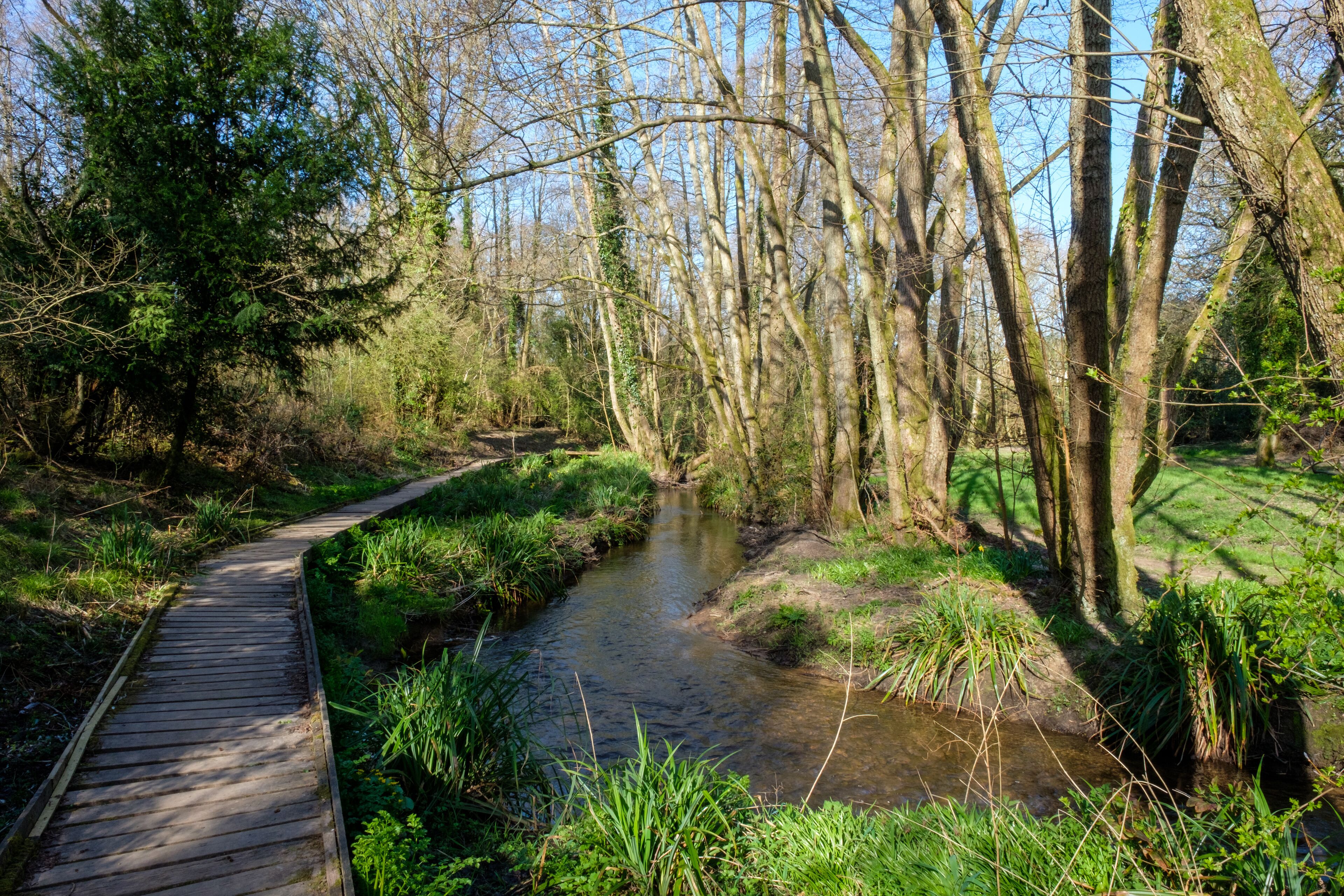 Local walk around Shottermill