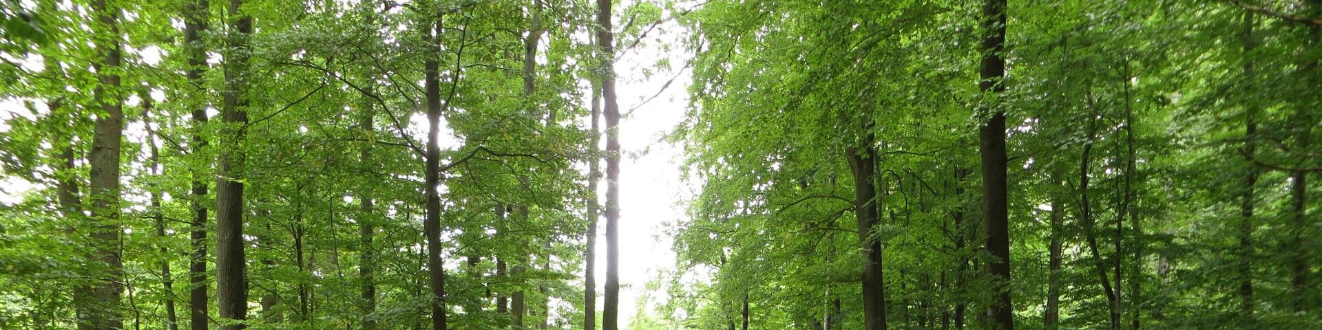 Das Wilderers Kreuz in Heilbronn am Spörlesweg