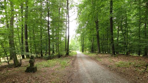 Das Wilderers Kreuz in Heilbronn am Spörlesweg