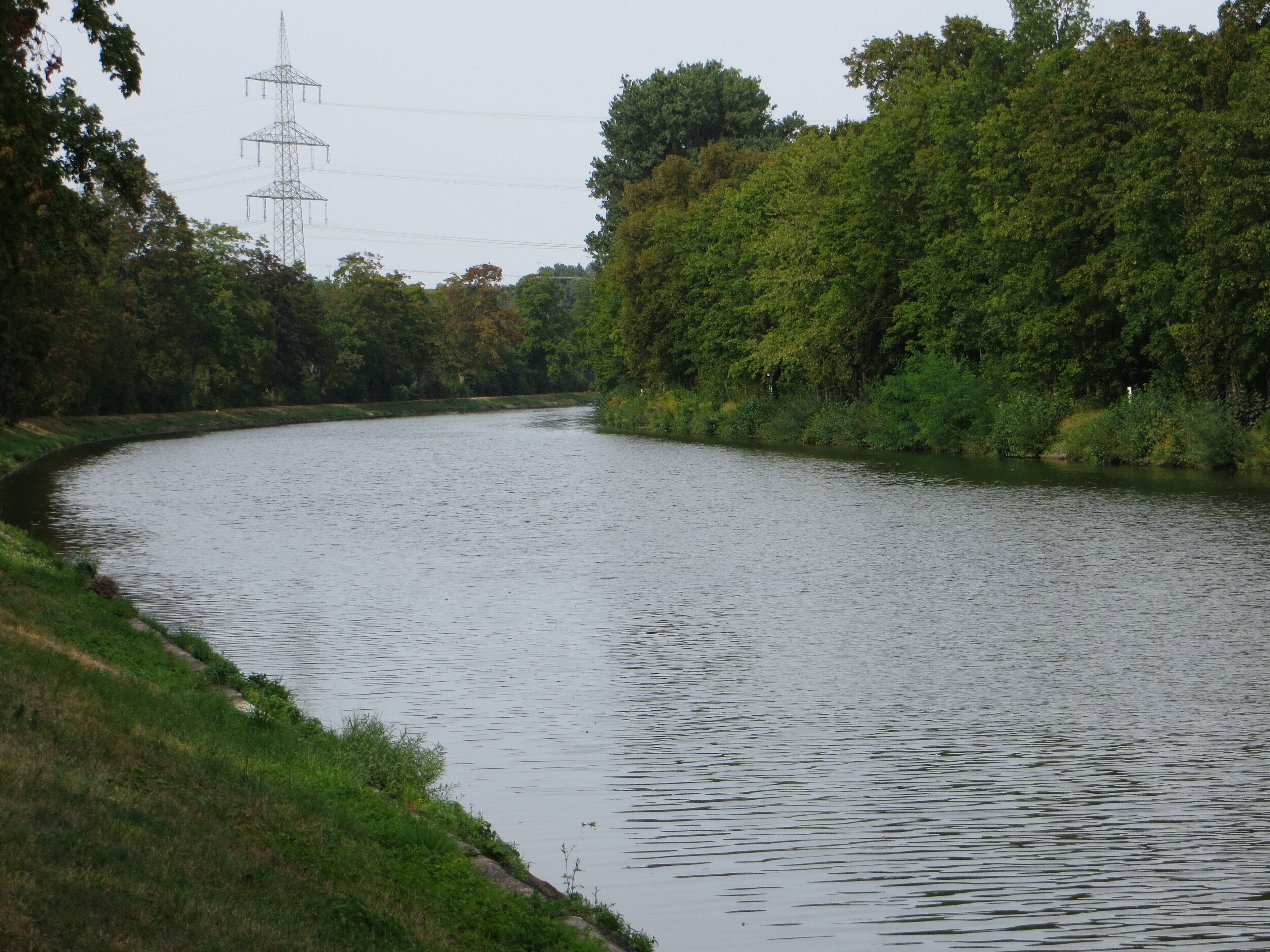 Der Neckar-Seitenkanal Horkheim südlich Horkheims, Blickrichtung Norden