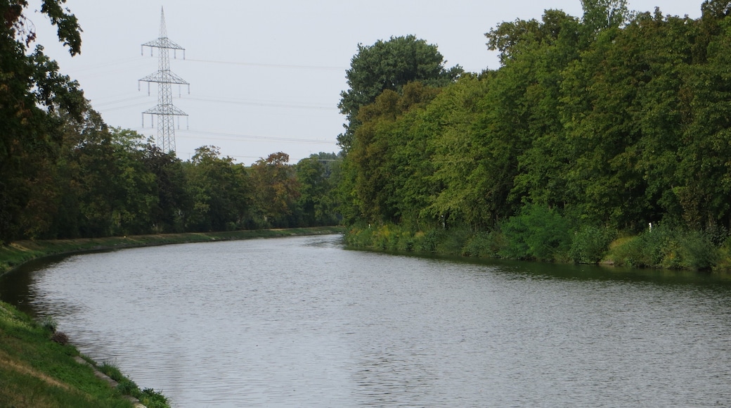 Der Neckar-Seitenkanal Horkheim südlich Horkheims, Blickrichtung Norden