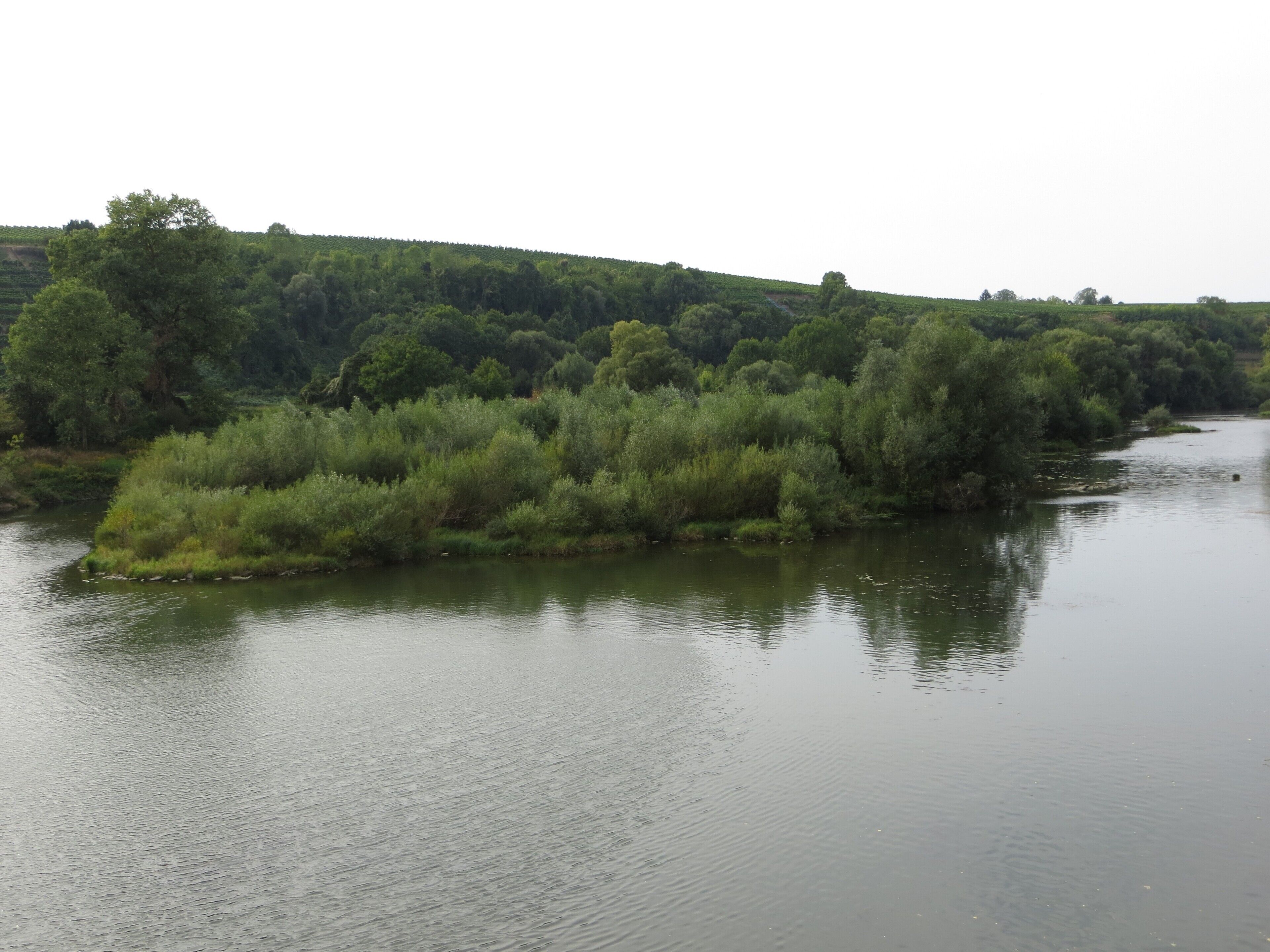 A river with dense greenery and hills in the background.