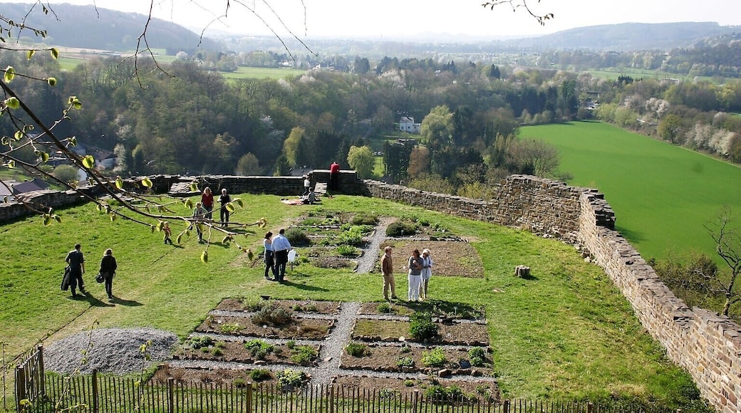 Burgruine der Stadt Blankenberg (Hennef, Siegkreis).
