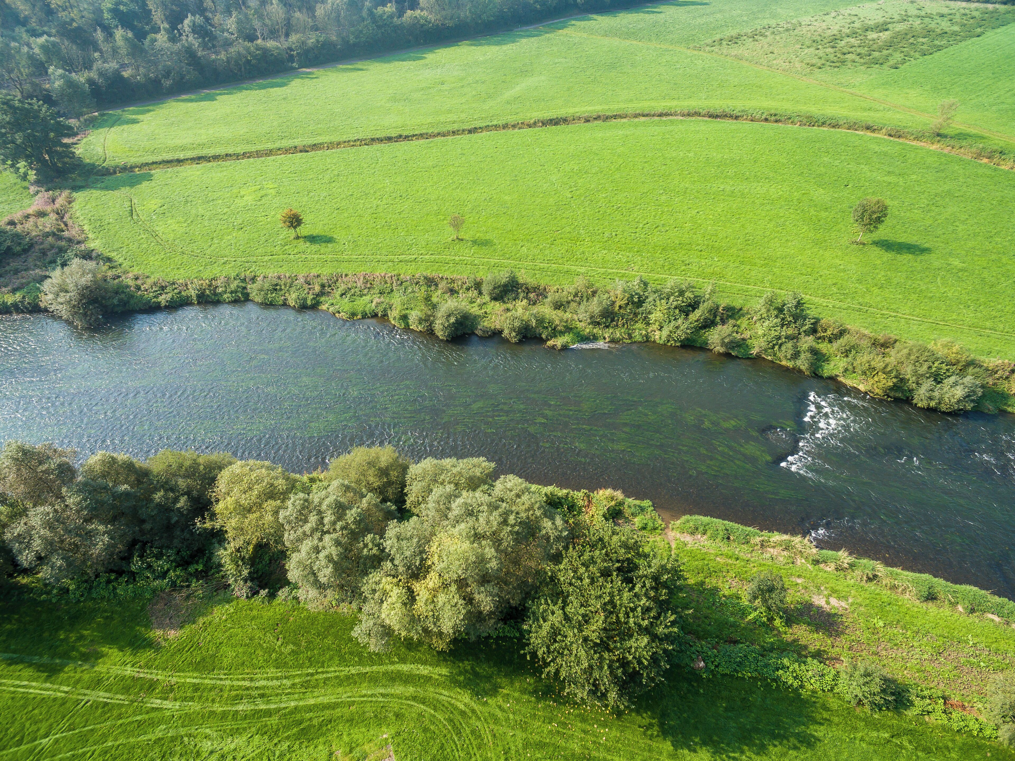 This is a picture of the protected area listed at WDPA under the ID