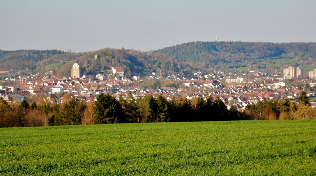 Blick auf Schlossberg und Stiftskirche in Herrenberg