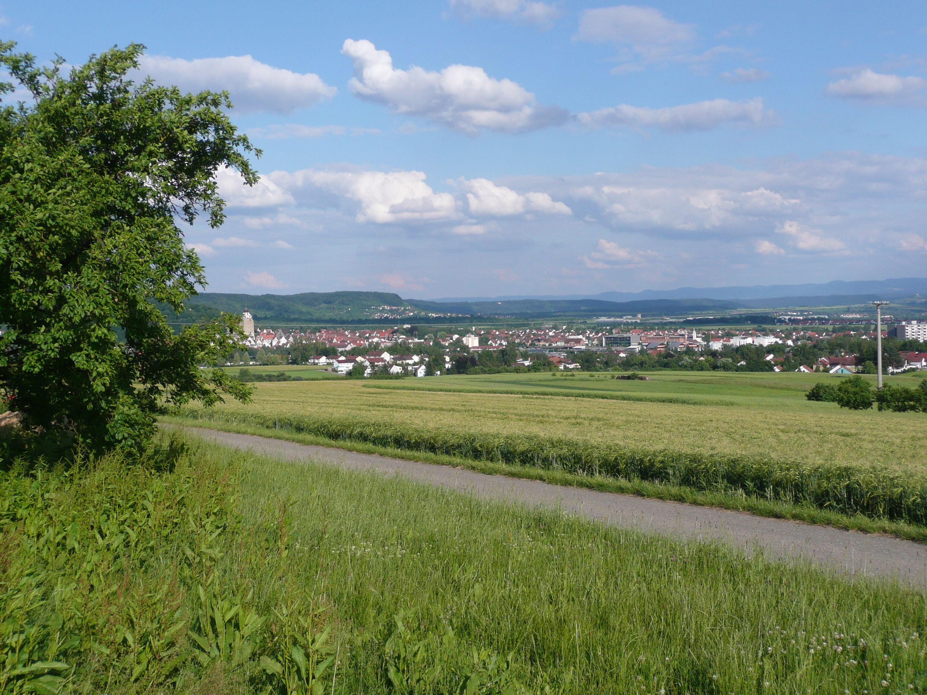 A rural landscape with a road, fields, and a town in the distance.