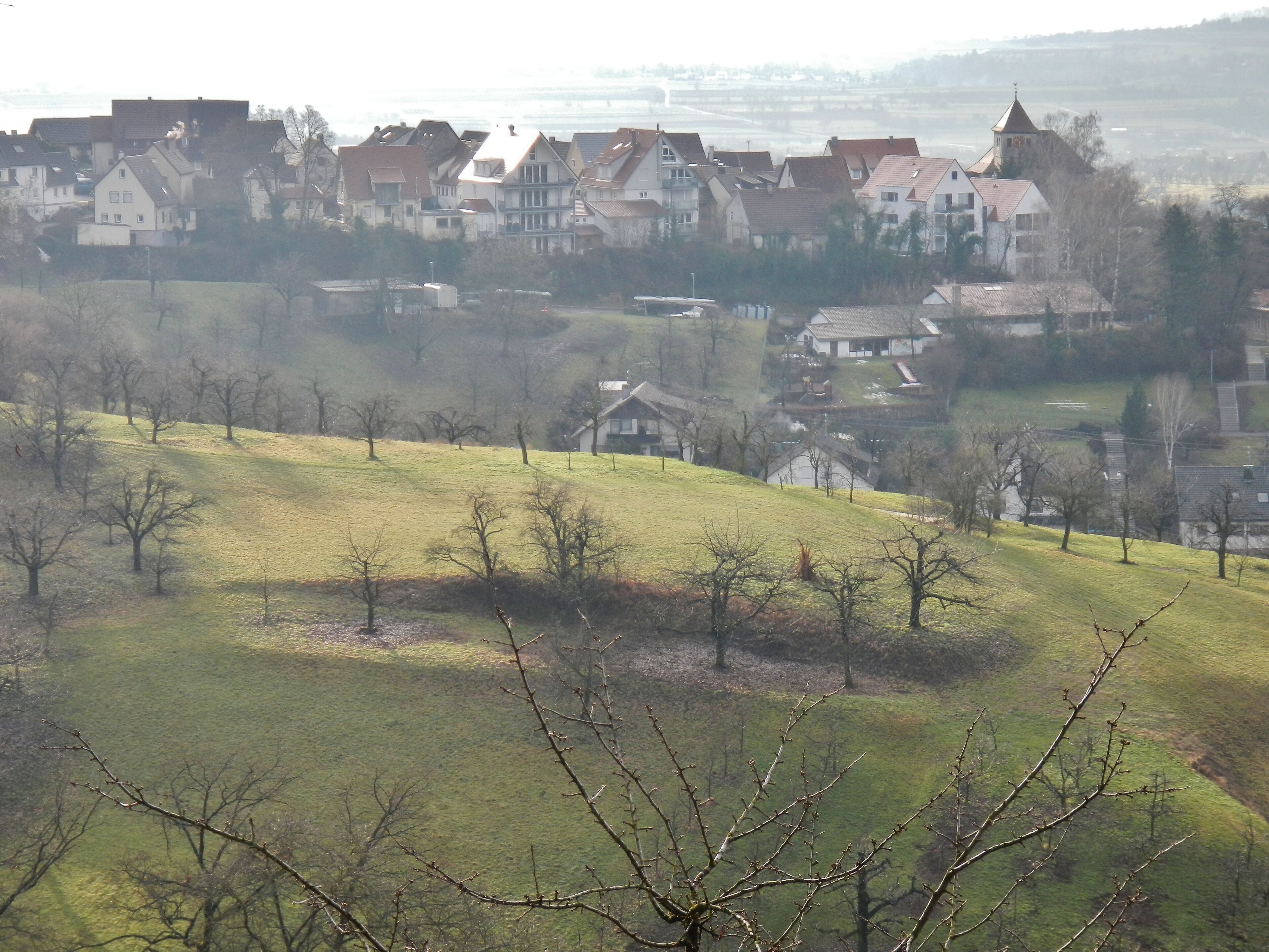 Mönchberg im Gegenlicht