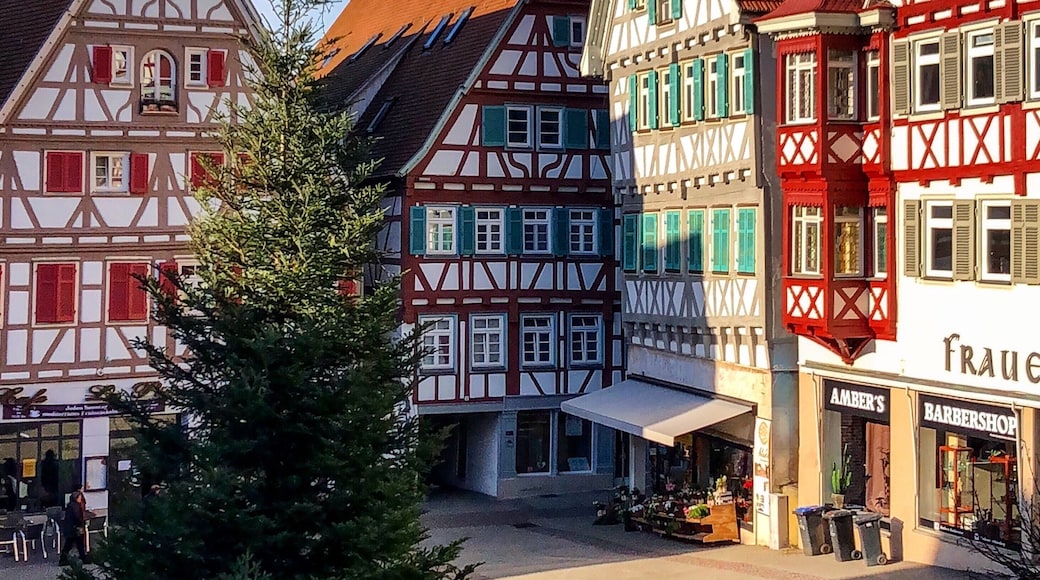 In the old town of Herrenberg, Germany