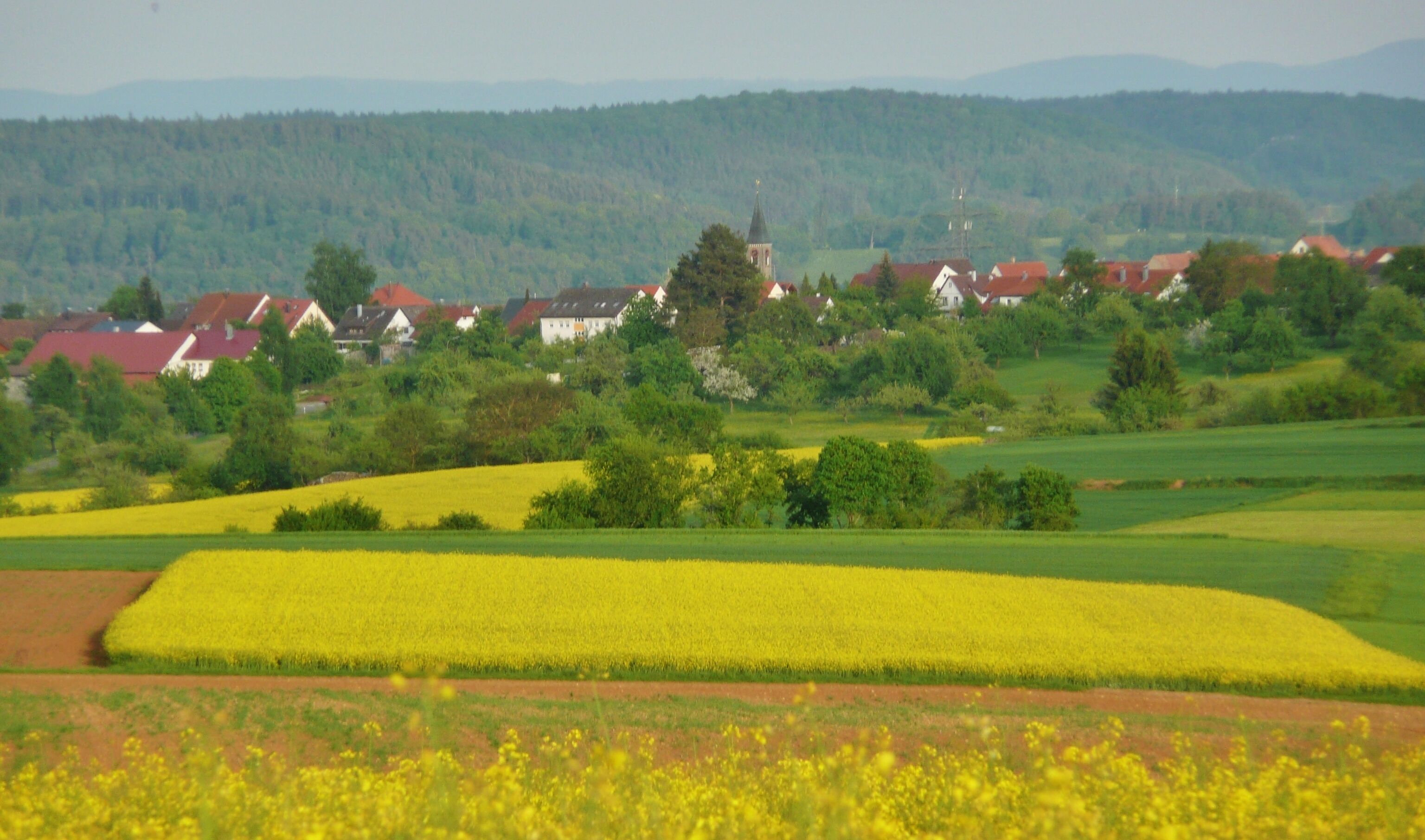 A rural landscape with fields of yellow flowers, green fields, and houses with red roofs.