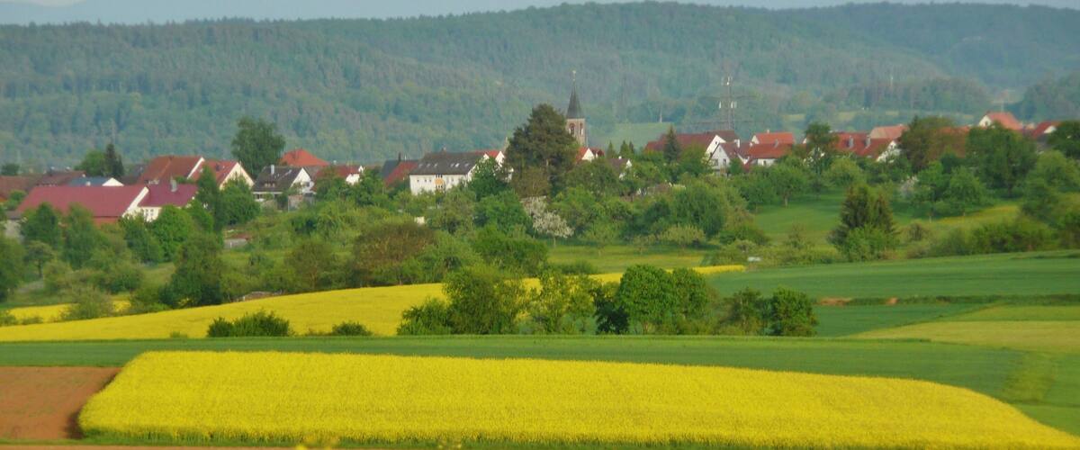 A rural landscape with fields of yellow flowers, green fields, and houses with red roofs.
