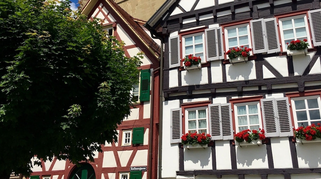 Timber-framed houses in front of the historical collegial church (Stiftskirche), Herrenberg
