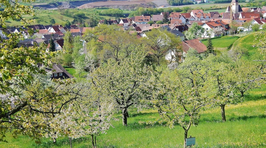 BlĂŒtenweg bei Kayh bei Herrenberg