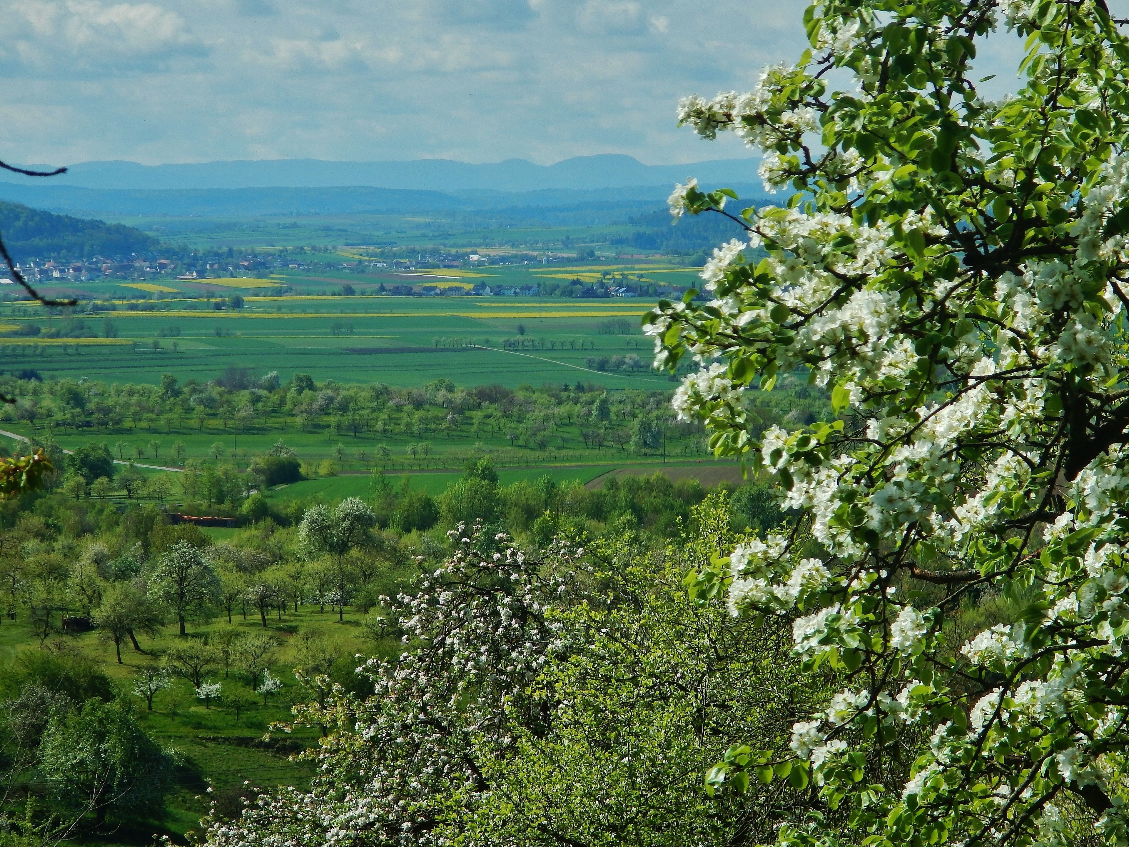 Ausblick vom Grafenberg - Schönbuchrand - Richtung Ammerbuch und schwäbische Alb