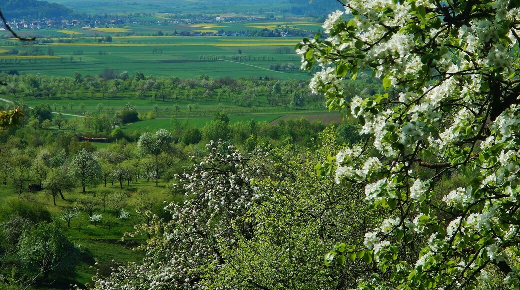 Ausblick vom Grafenberg - Schönbuchrand - Richtung Ammerbuch und schwÀbische Alb